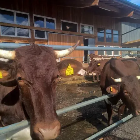 Pensionat Schachernhof 3*