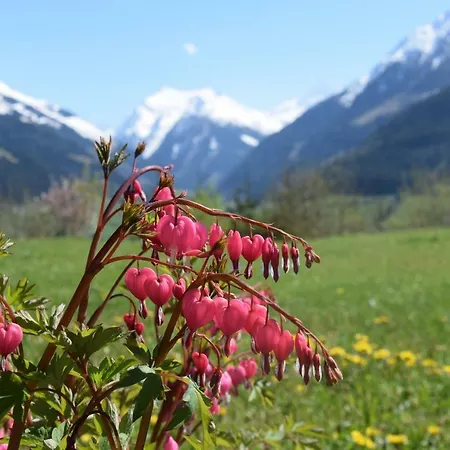 Pensionat Schachernhof Mittersill
