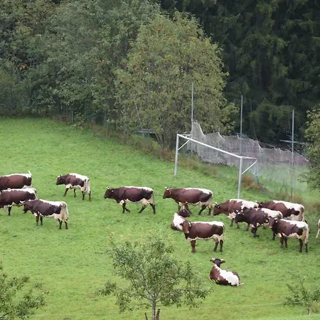 Schachernhof בית הארחה