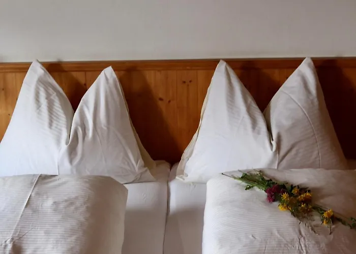 بنسيون شاشيرنهوف بيت ضيافة