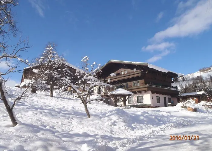 بنسيون شاشيرنهوف بيت ضيافة 3*